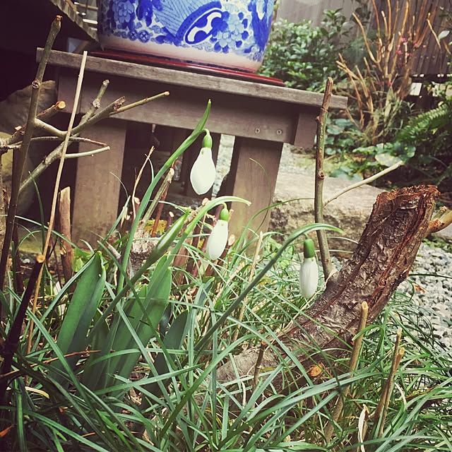 cantiamoさんの実例写真