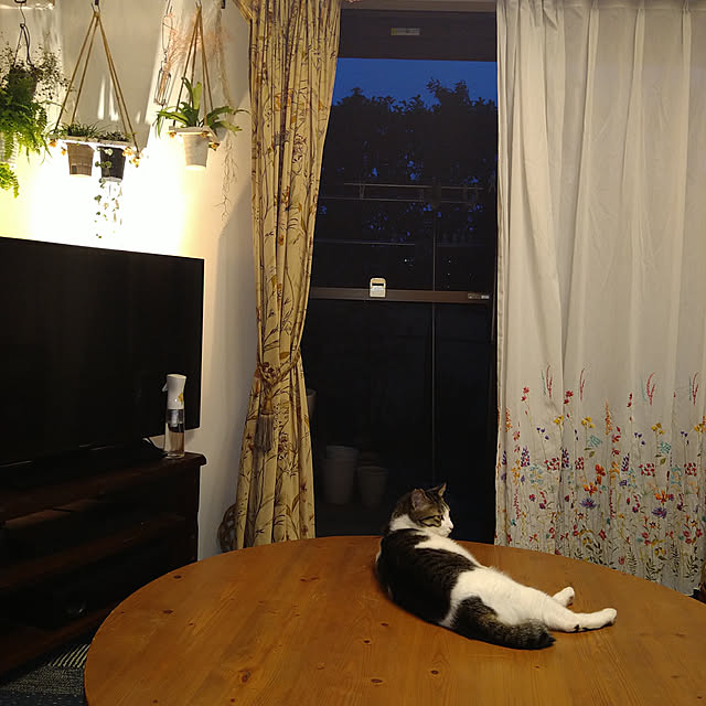 okyosan101さんの実例写真