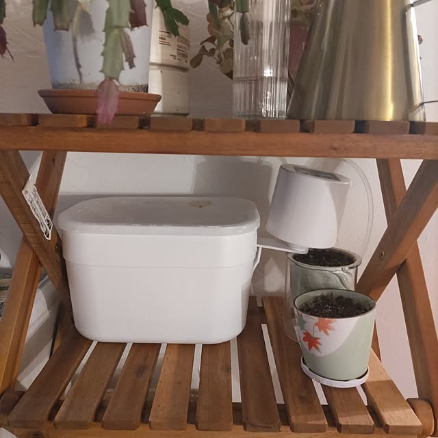 Maroさんの部屋
