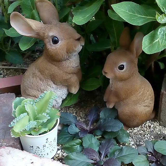 mariagardenさんの実例写真