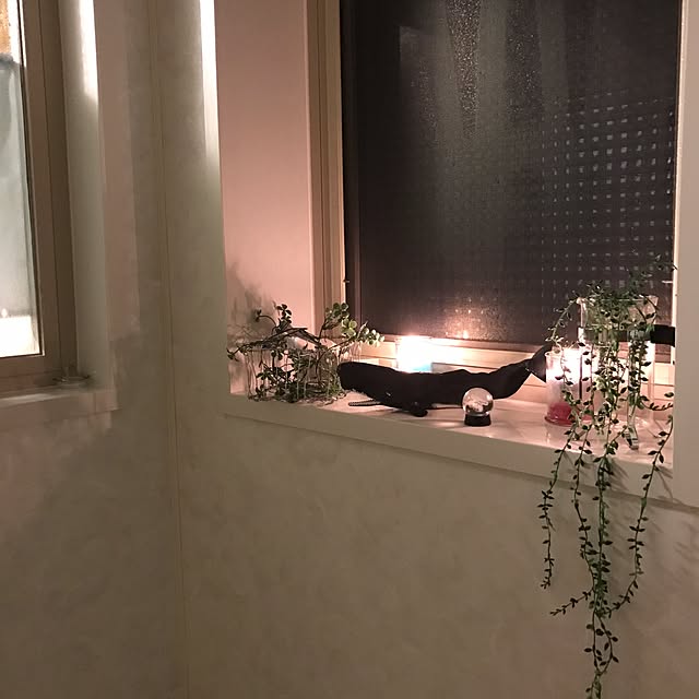 kinu-itoさんの実例写真