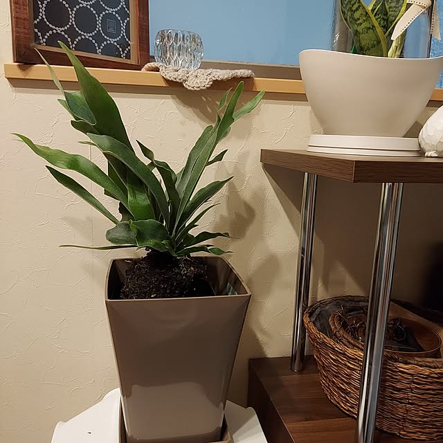 makkyさんの部屋