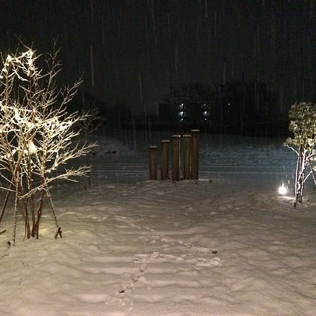 fukuさんの実例写真