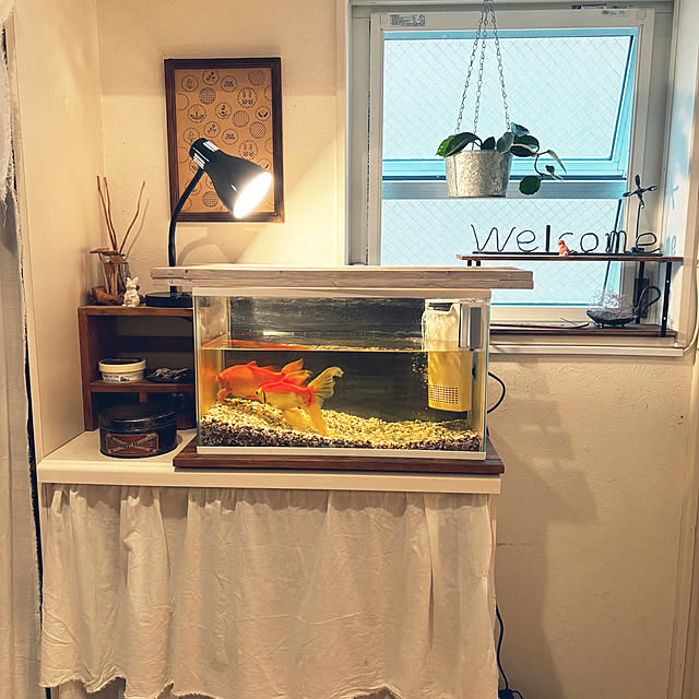 okkunさんの部屋
