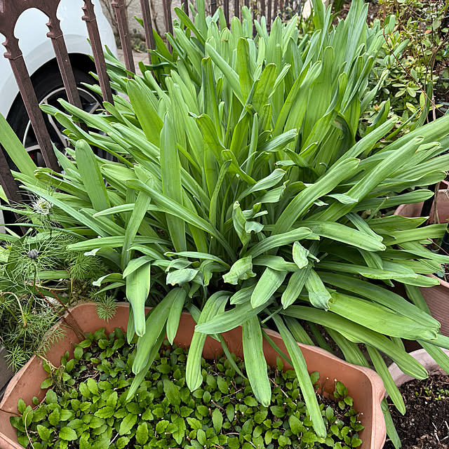 mamizaさんの部屋