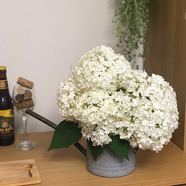 Nobbyさんの実例写真