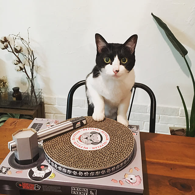 hiroko_ssnさんの実例写真