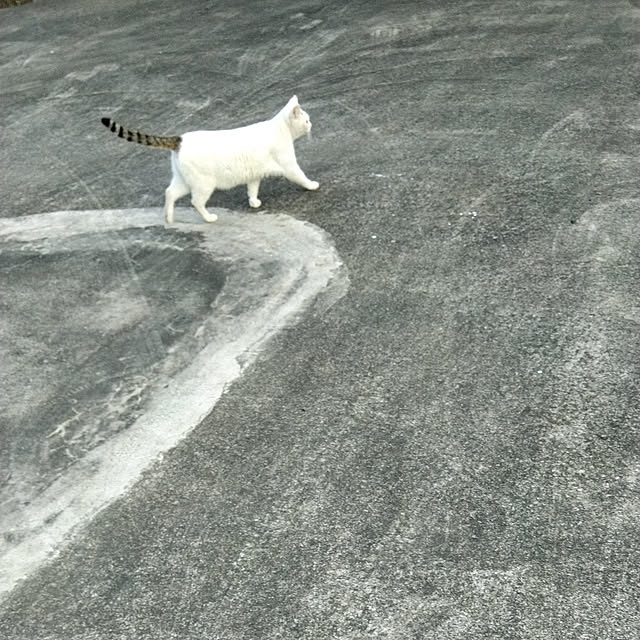 lilyさんの実例写真