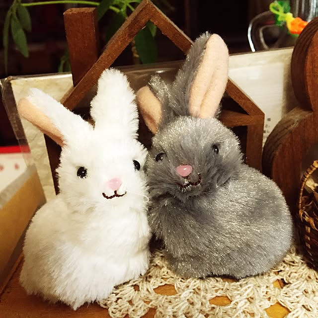 chiekawa63さんの実例写真