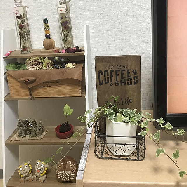 lovepeaceちゃん ありがとう❤️/観葉植物/setsuちゃんからのプレゼント/雑貨/salut！...などのインテリア実例 - 2019-05-15 09:45:05
