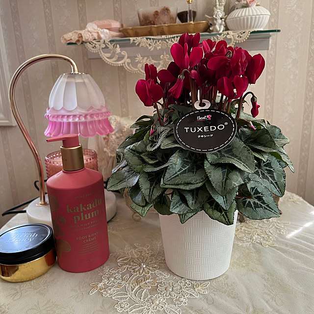 AYUKOさんの実例写真