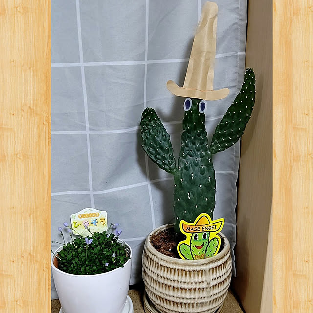 Ri-さんの実例写真