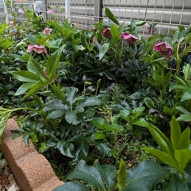 chi_gogaさんの部屋