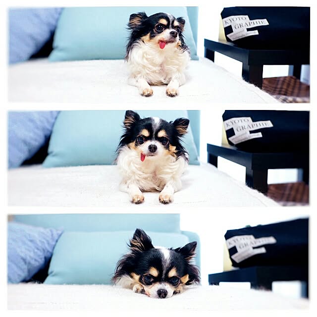 pachuさんの実例写真