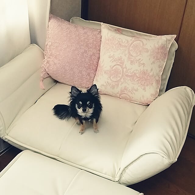 nanasuke0106さんの実例写真