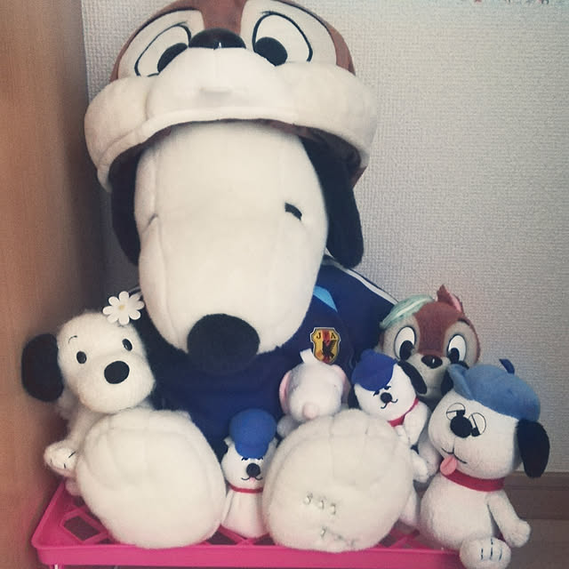 mayaさんの実例写真