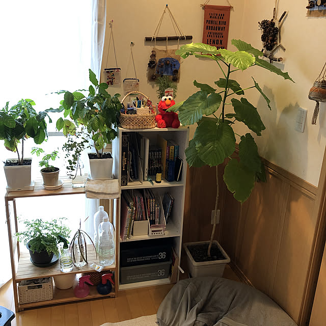 aqoさんの実例写真