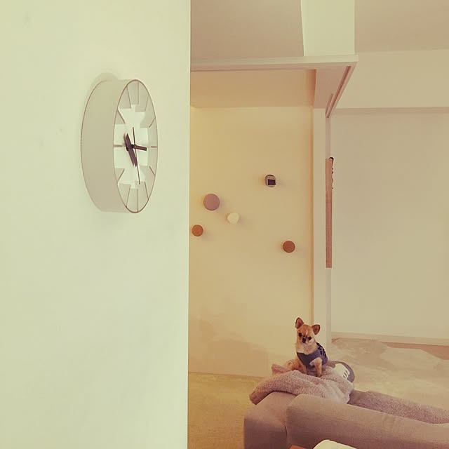 haruhinaさんの実例写真