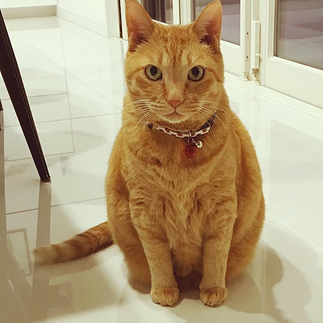 minakoさんの実例写真