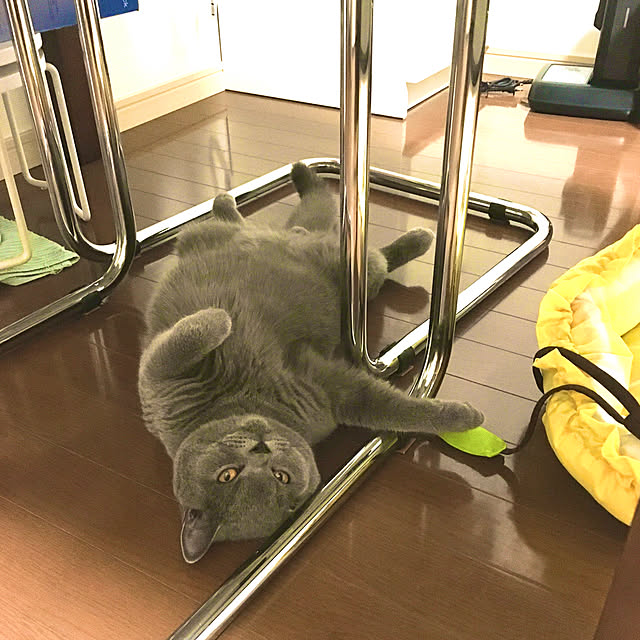 kittyさんの実例写真