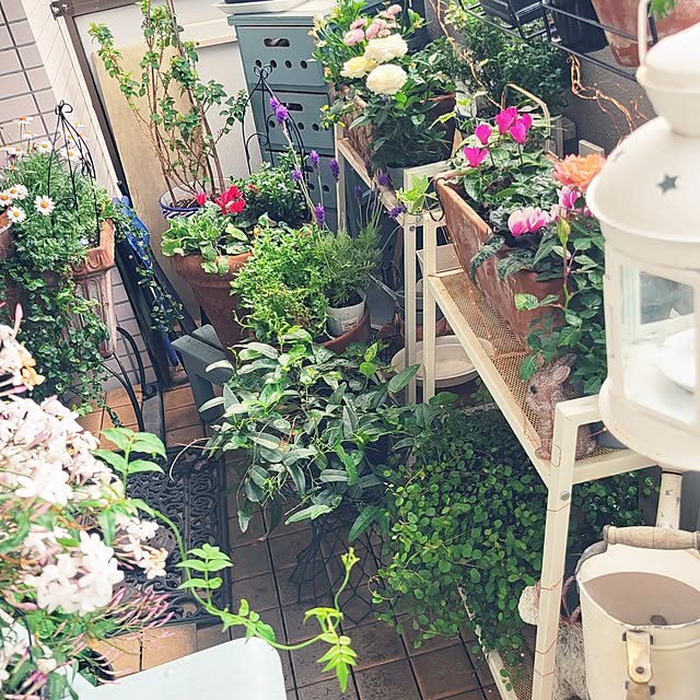 berryberryさんの部屋