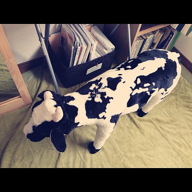 shiroさんの実例写真