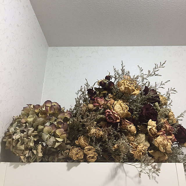 fu-mufumuさんの実例写真