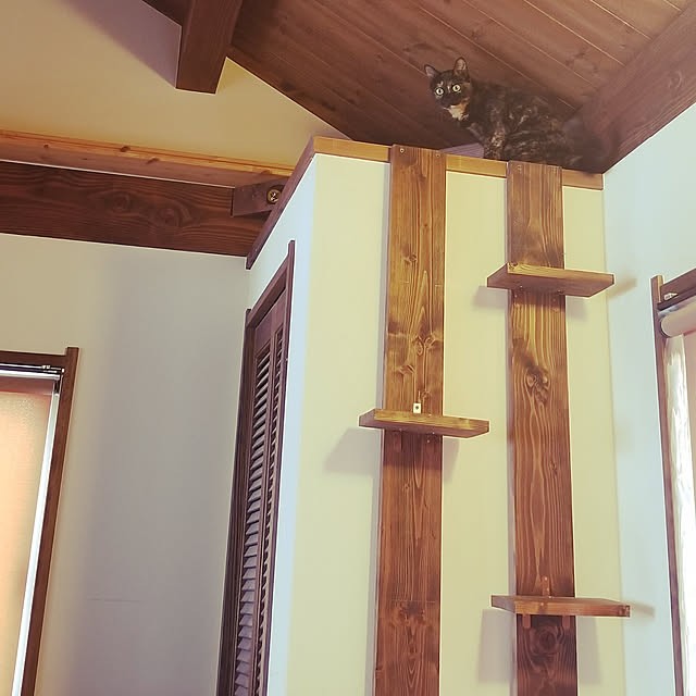 壁/天井/猫/DIYのインテリア実例 - 2019-07-30 13:21:46