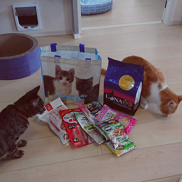 taka-kiさんの実例写真