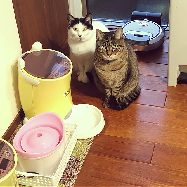 Kamoさんの実例写真