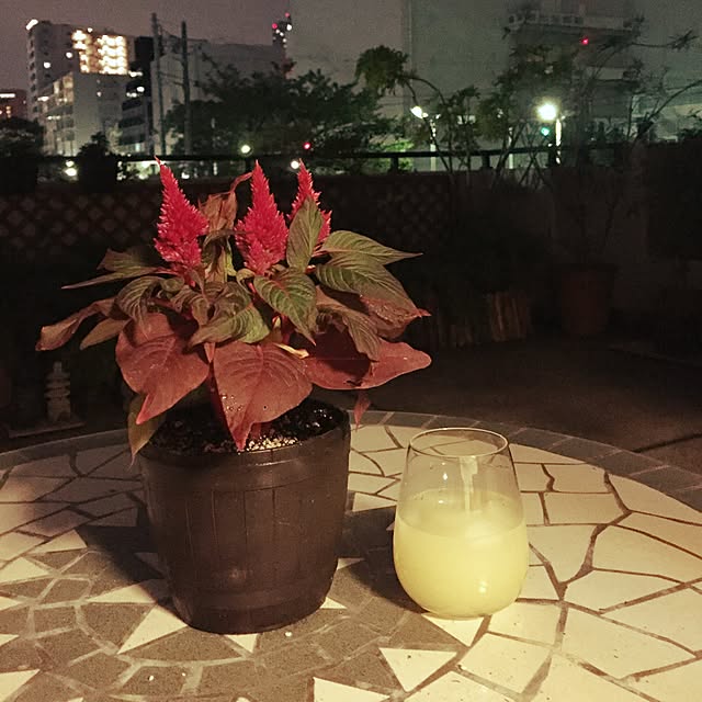 emiemiさんの実例写真