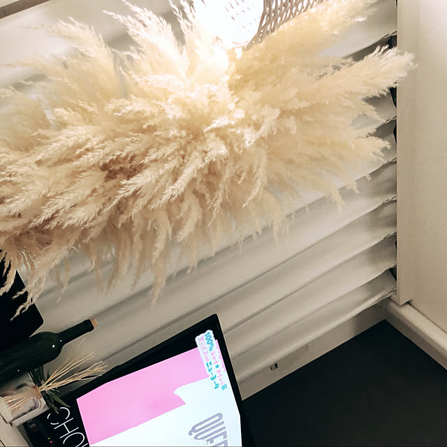 部屋全体のインテリア実例 - 2019-01-29 22:03:54