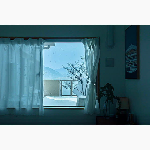 hinatabirdさんの実例写真