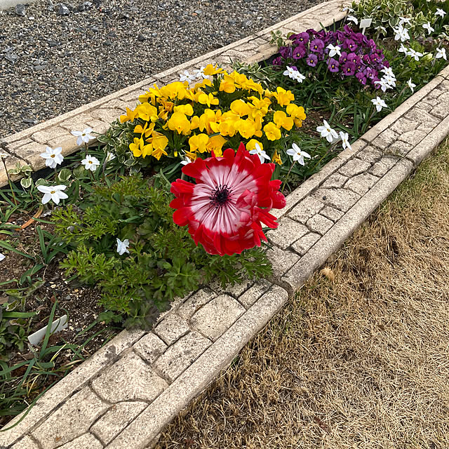 uraraさんの実例写真
