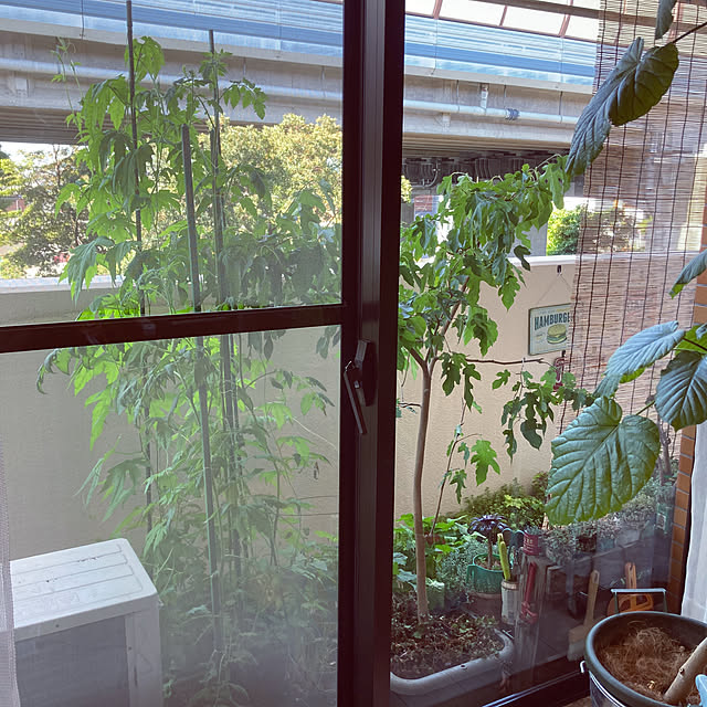 heidiさんの部屋