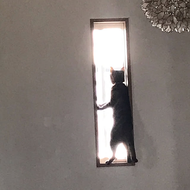 wyさんの実例写真