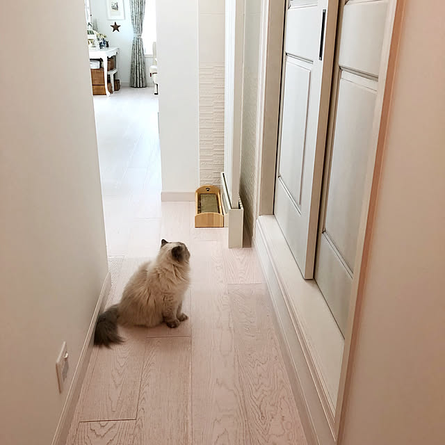 yuchiさんの実例写真
