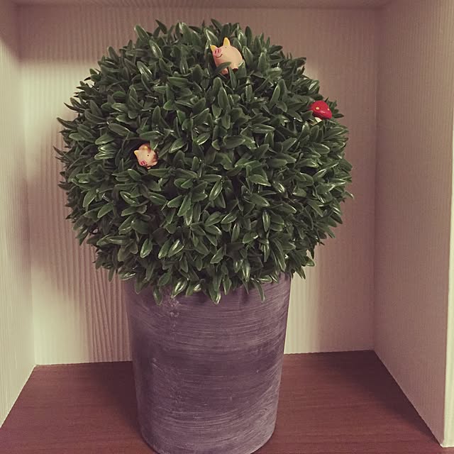 Kaoriさんの実例写真