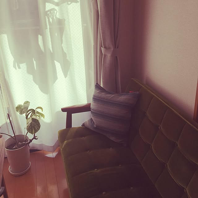 yoko0823さんの実例写真