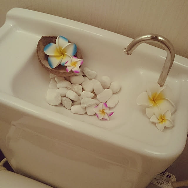 watagashiさんの実例写真