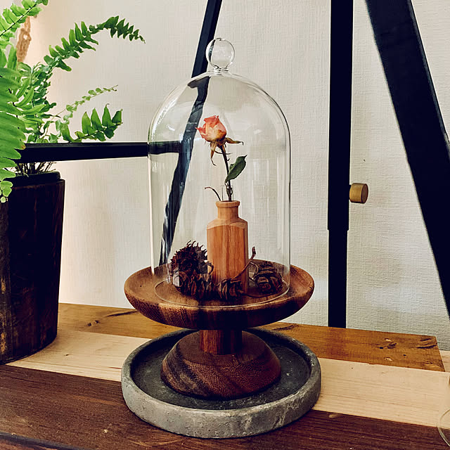 HAKOさんの部屋