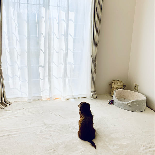 choco-curiさんの実例写真