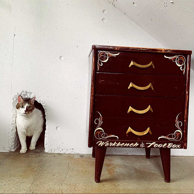 Lisaさんの実例写真