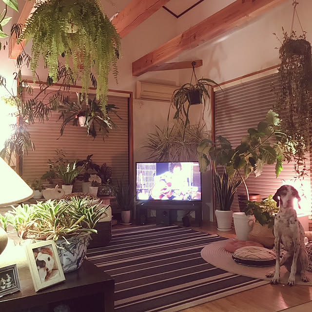 mm319さんの実例写真