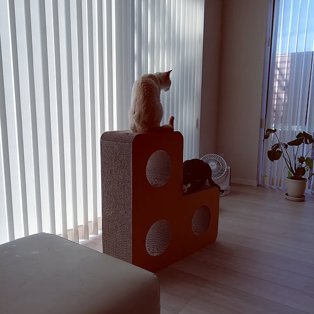 nikeyamaさんの実例写真