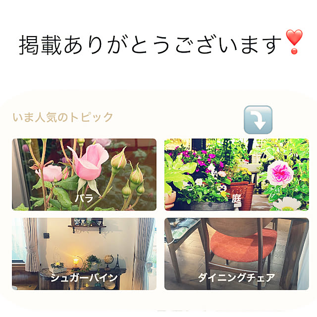 NAOさんの実例写真
