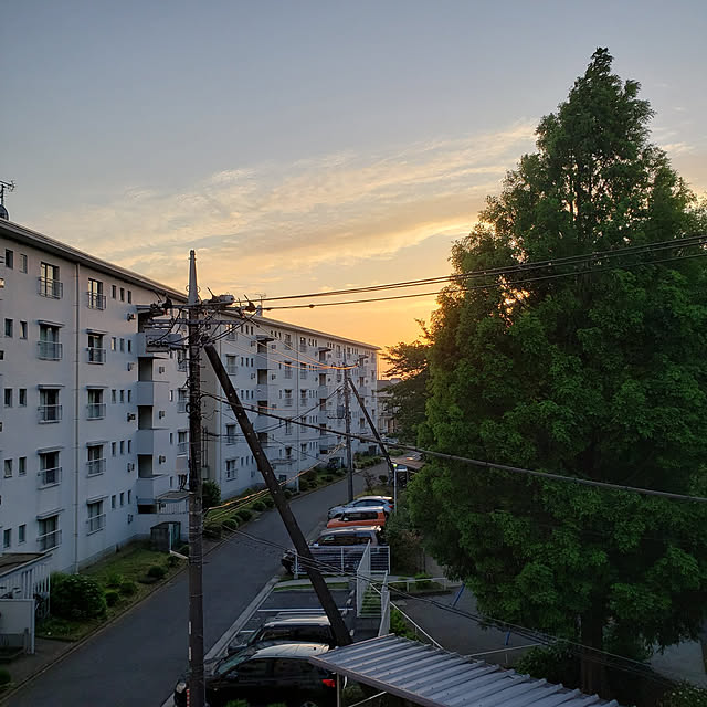 nyagosanさんの実例写真