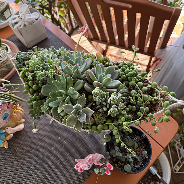 Aqettyさんの部屋