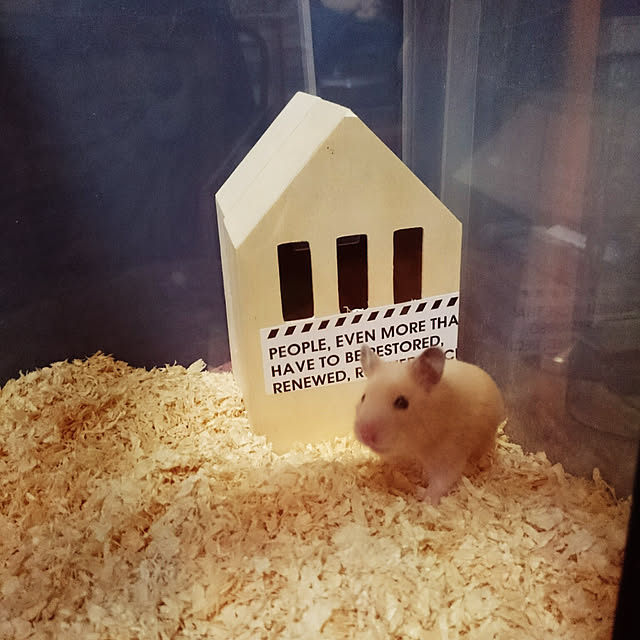 tikuwaさんの実例写真