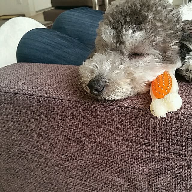 comasさんの実例写真
